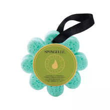 Load image into Gallery viewer, Spongelle - Coconut Verbena