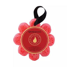 Load image into Gallery viewer, Spongelle - Sugar Dahlia