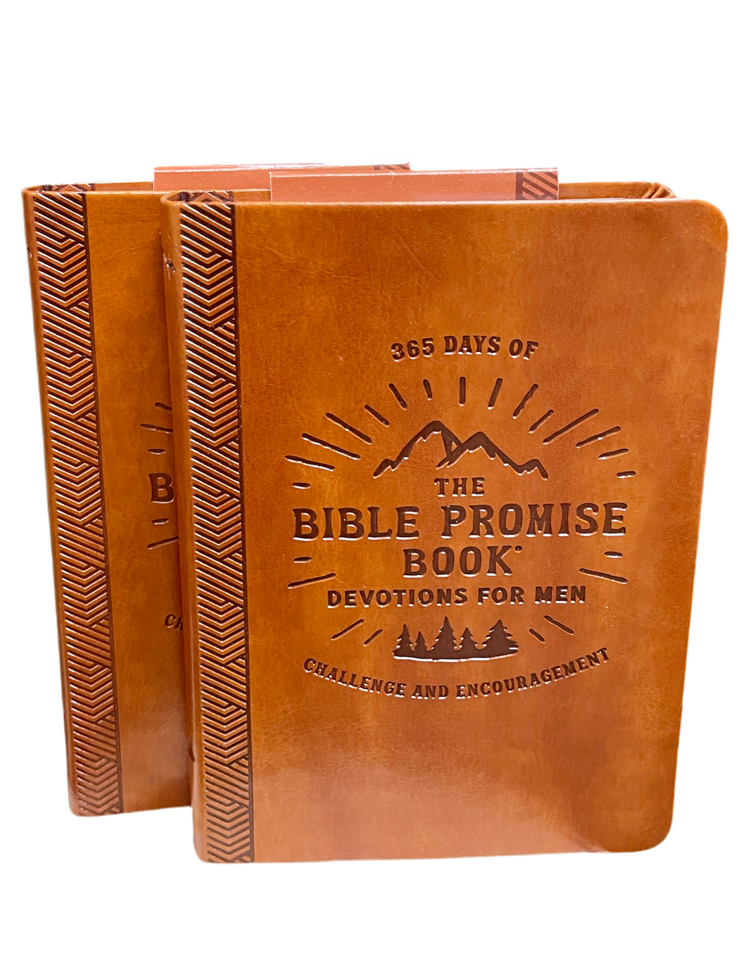 The Bible Promise Book For Men