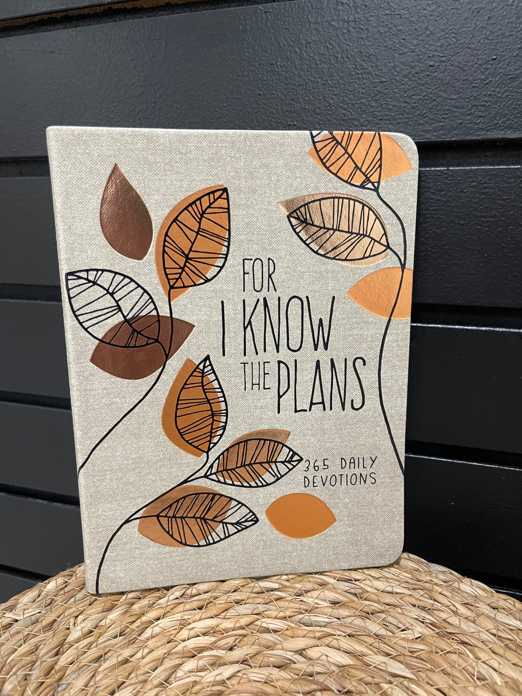 For I Know The Plans Devotional