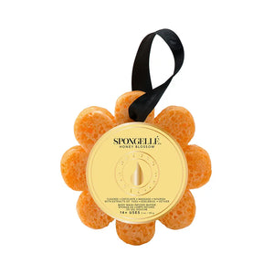Spongelle - Honey Blossom